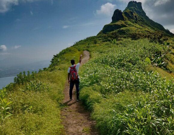 Things to See and Do When Visiting Tung Fort